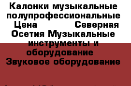 Калонки музыкальные полупрофессиональные › Цена ­ 7 000 - Северная Осетия Музыкальные инструменты и оборудование » Звуковое оборудование   